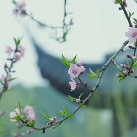 人生，不悔，不怨