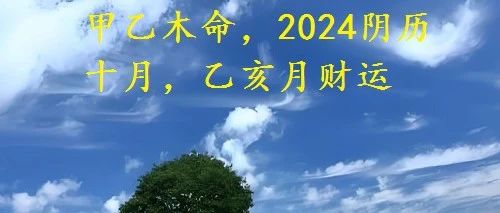 甲乙木命，2024阴历十月，乙亥月财运