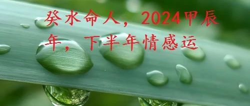 癸水命人，2024甲辰年，下半年情感运