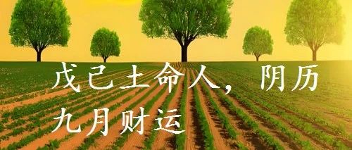 戊己土命人，2024甲辰年，阴历九月财运