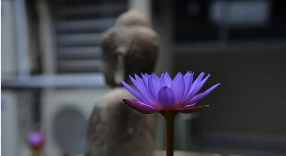 自己怀孕宝宝在肚子里动