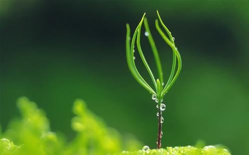 梦见鞋展被雨淋湿