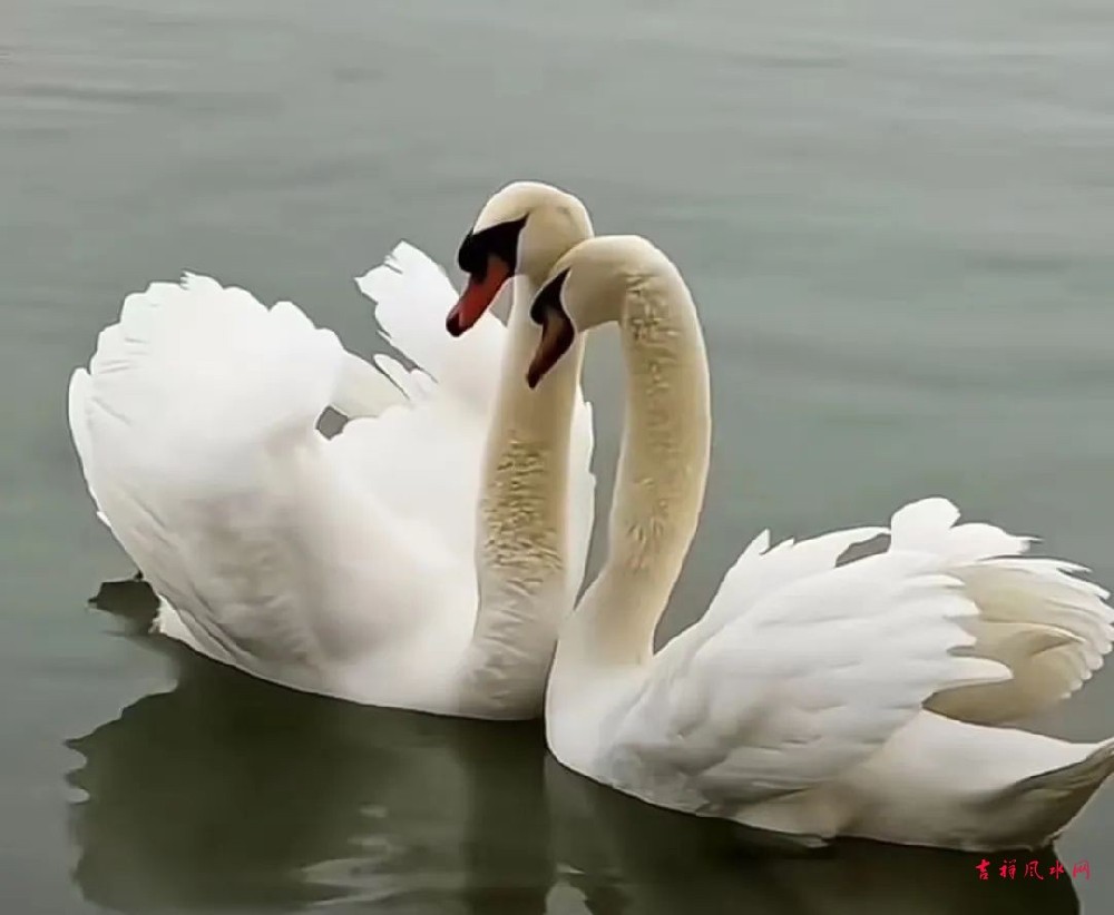 从日柱看夫妻情缘