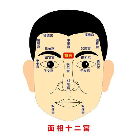 四种具有经商天赋的面相特征，更容易在生意场上能够取得成功