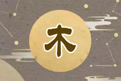 五行缺木补救的方法