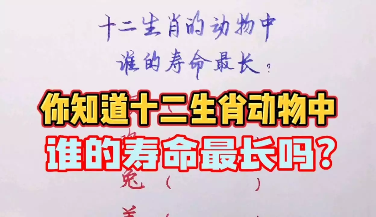 寿命最长的3个生肖 越老越享福的生肖