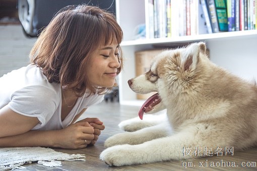 梦见自己长白头发了