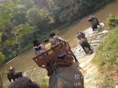 梦见骑牛过河周公解梦，梦见骑牛过河是什么意思？