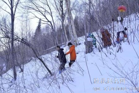 梦见在积雪的森林中漫步周公解梦，梦见在积雪的森林中漫步是什么