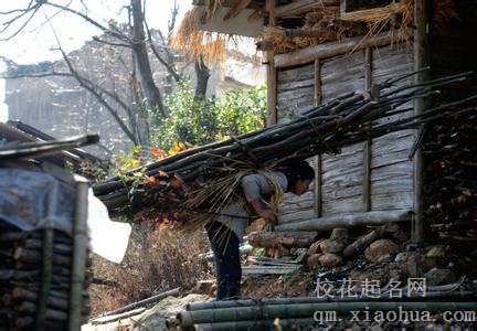 梦见背着木柴进屋周公解梦，梦见背着木柴进屋是什么意思？