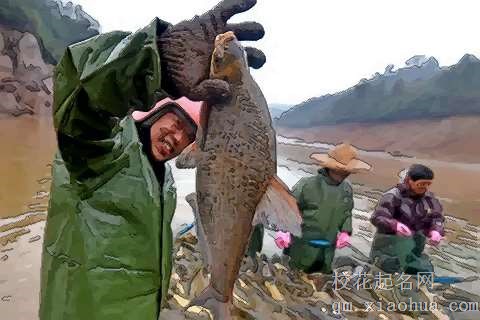 梦见自己抓住鱼