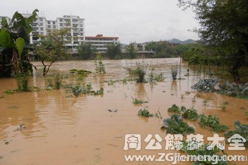 梦见发洪水自己被淹死