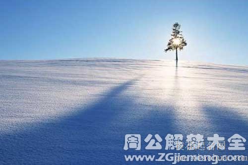 梦见厚雪